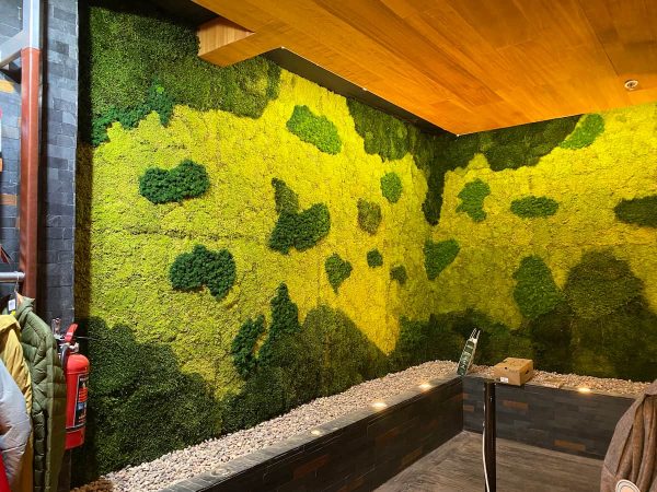 Por qué incorporar paredes de musgo en la arquitectura – Musgos Preservados