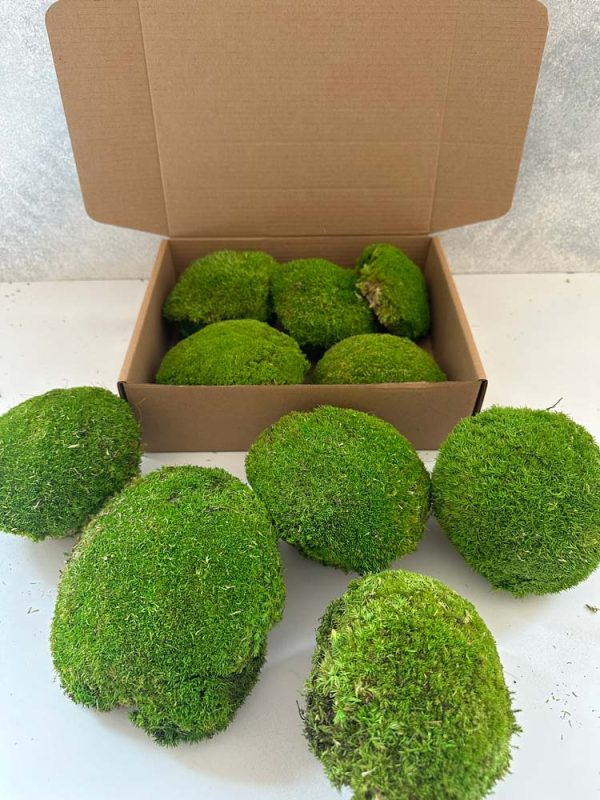 ball-moss-01