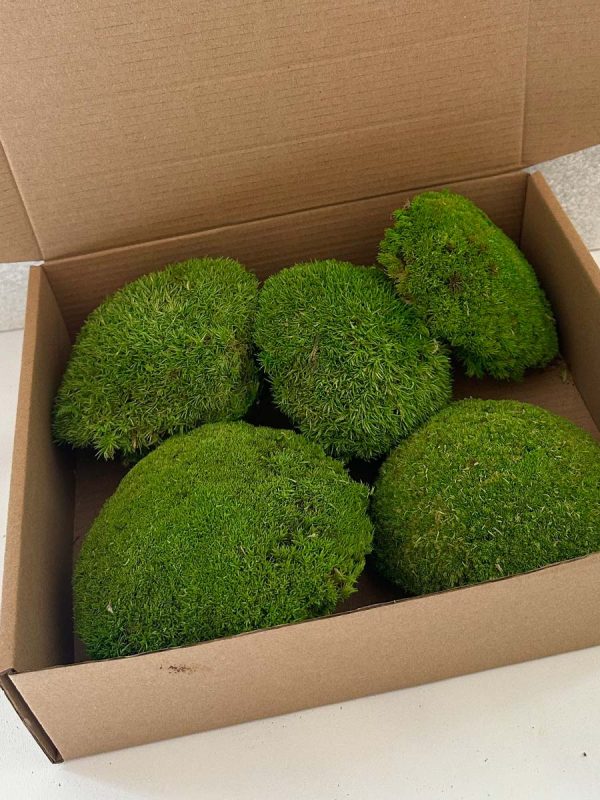 ball-moss-02